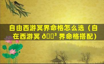 自由西游冥界命格怎么选（自在西游冥 🐳 界命格搭配）